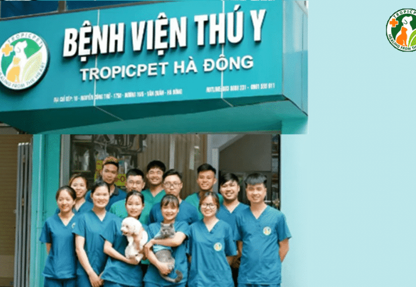 tropicpet.vn-bệnh viện chuyên khoa thú cưng uy tín