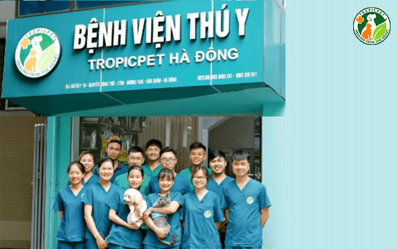 tropicpet.vn-bệnh viện chuyên khoa thú cưng uy tín