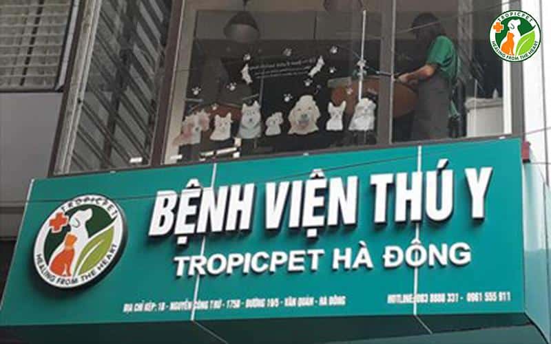 tropicpet.vn-cửa hàng chăm sóc thú cưng Hà Nội