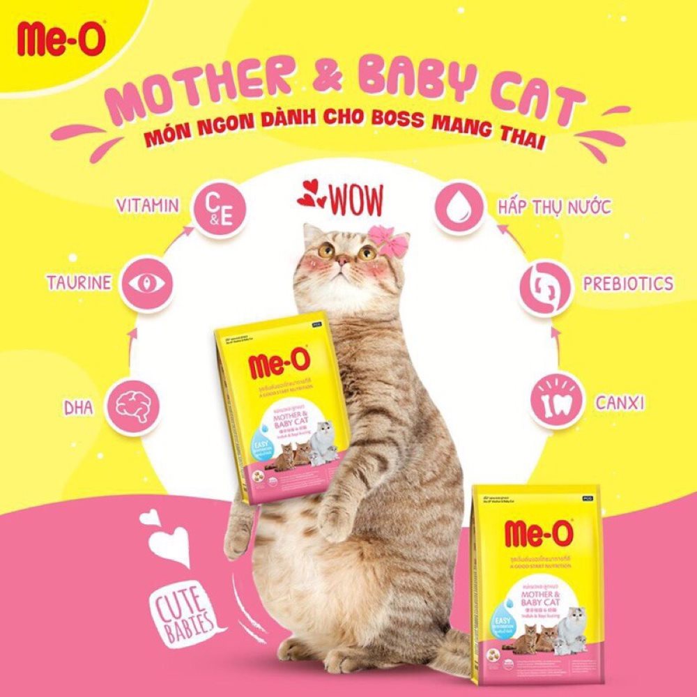 Hat meo mother and babycat1