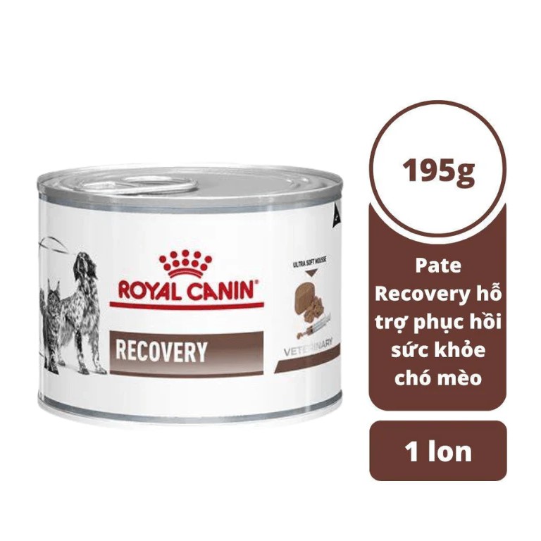Pate royal canin recovery