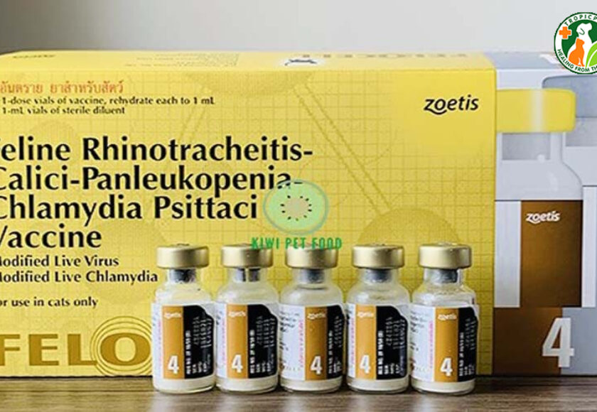 vaccine 4 bệnh cho mèo