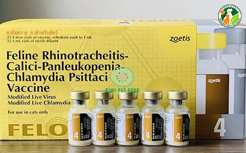 vaccine 4 bệnh cho mèo