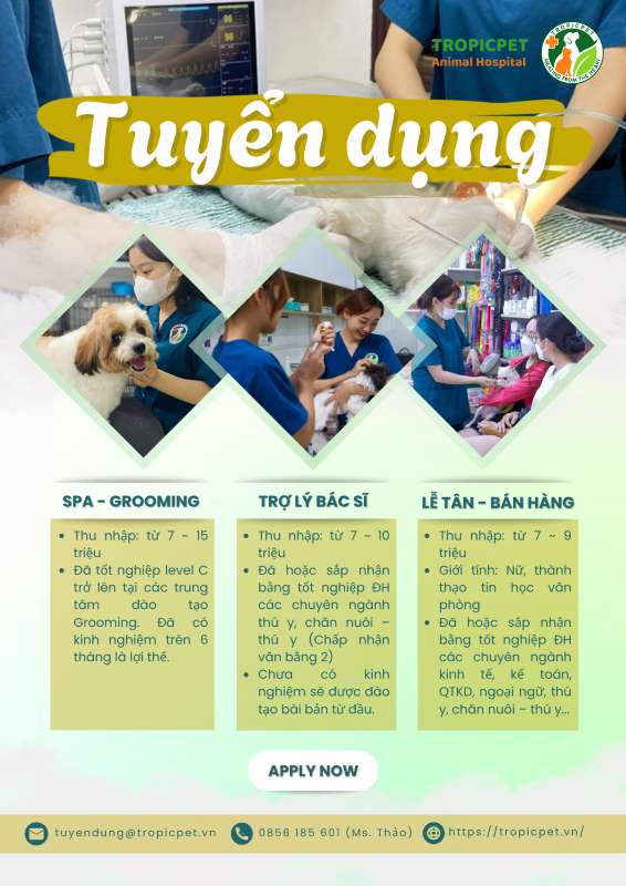 Tuyển dụng tháng 3 - 2025