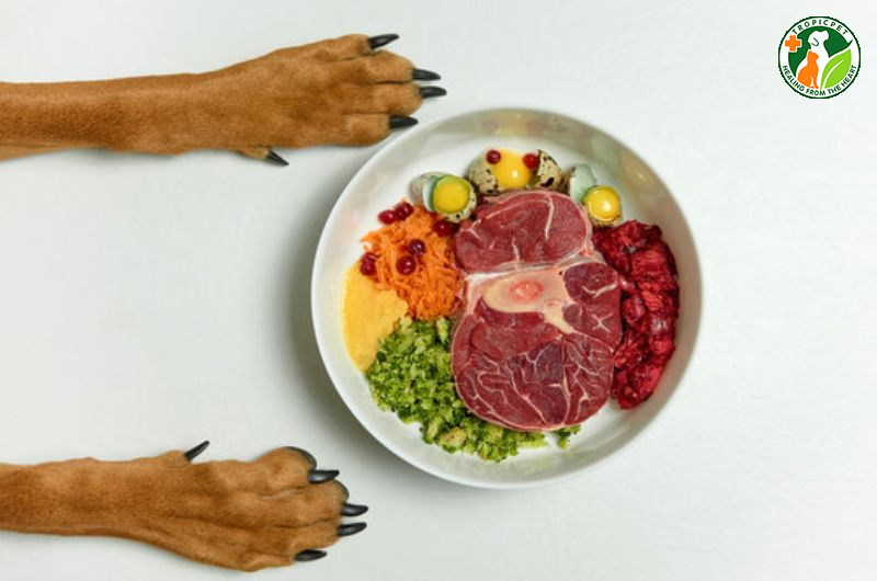 Mách Sen Cách Làm Pate Cho Chó Tại Nhà Thơm Ngon Mà Đơn Giản 6 Cách làm pate cho chó