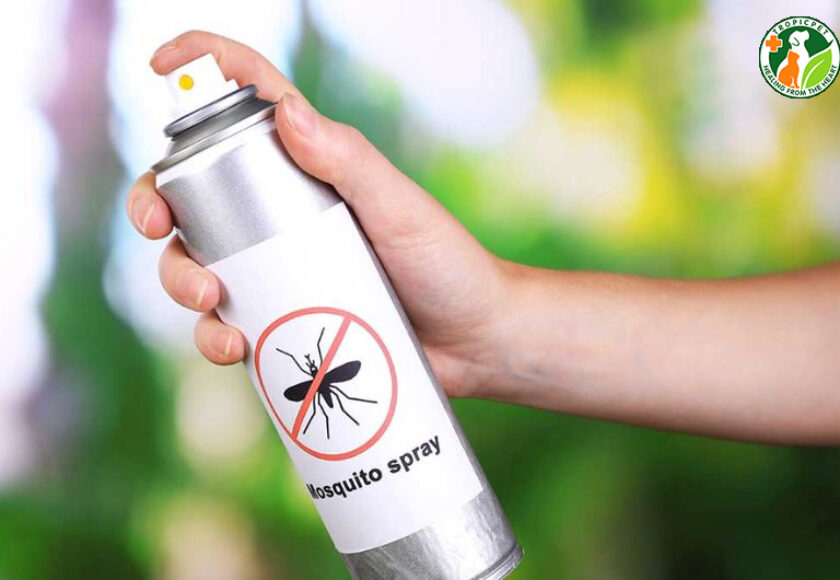 thuốc xịt muỗi có diệt được ve chó không