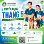 Bản tin tuyển dụng tháng 05/2026, khởi đầu mới cùng Tropicpet
