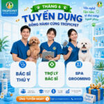 Bản tin tuyển dụng tháng 06/2026, kiến tạo sự nghiệp vững chắc
