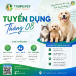 Bản tin tuyển dụng tháng 08/2026, bứt phá cùng Tropicpet