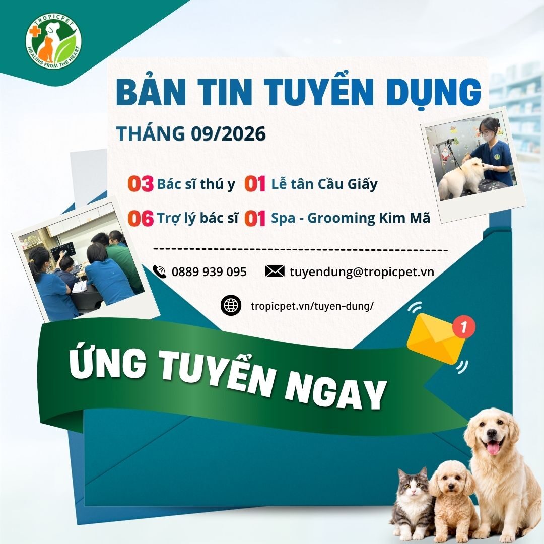 tuyển dụng tháng 9/2026