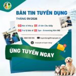 Bản tin tuyển dụng tháng 09/2026